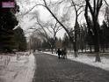 DSCN7090