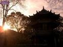0411sf_CIMG1259