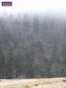 0711sk_DSCF0014