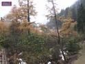 0711sk_DSCF0020