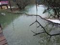 0711sk_DSCF0021