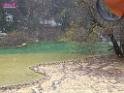 0711sk_DSCF0027