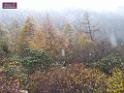 0711sk_DSCF0035
