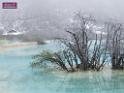 0711sk_DSCF0036