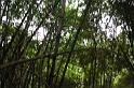 DSCN3135