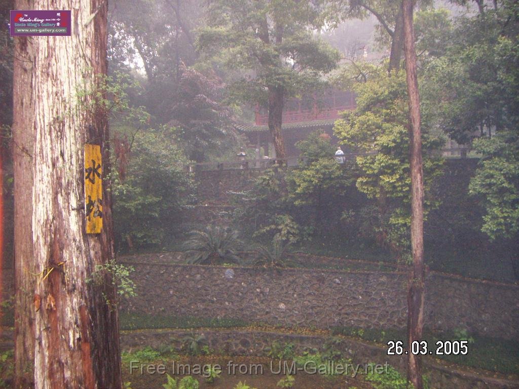 PICT0809.JPG