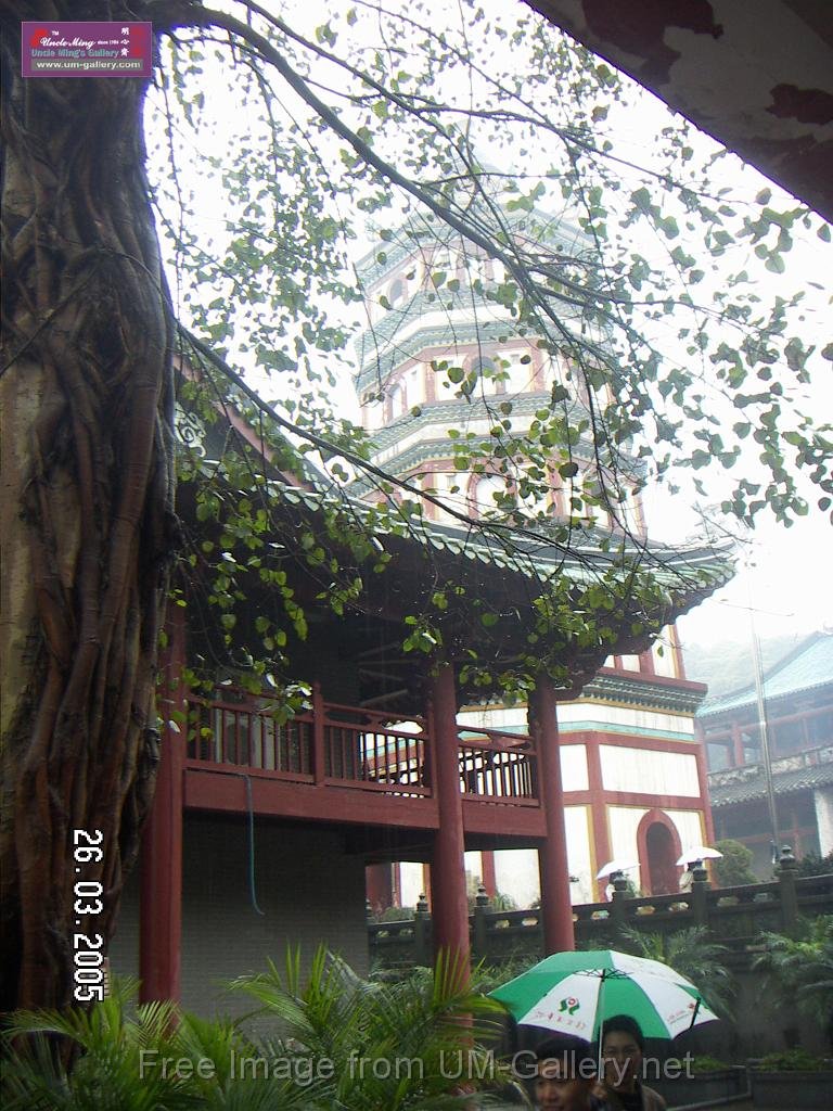 PICT0821.JPG