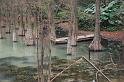 080207sm_DSC_0020