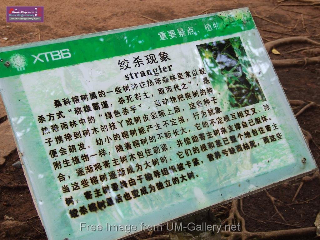 3_DSCF0076.JPG