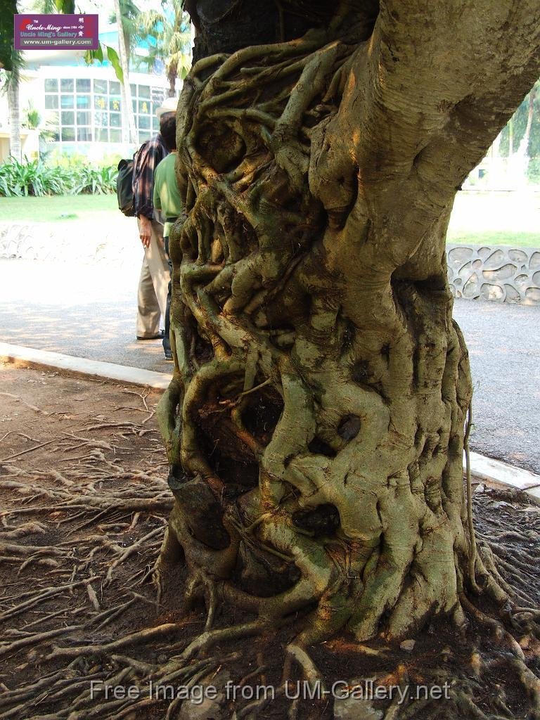 3_DSCF0077.JPG