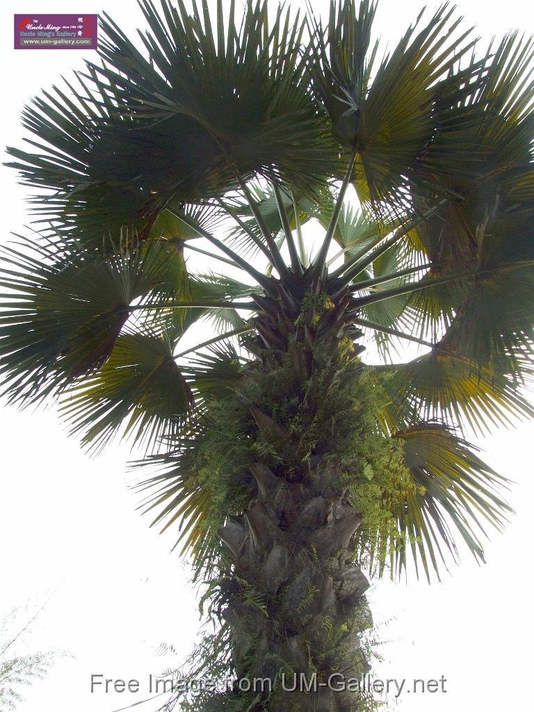3_DSCF0090.JPG