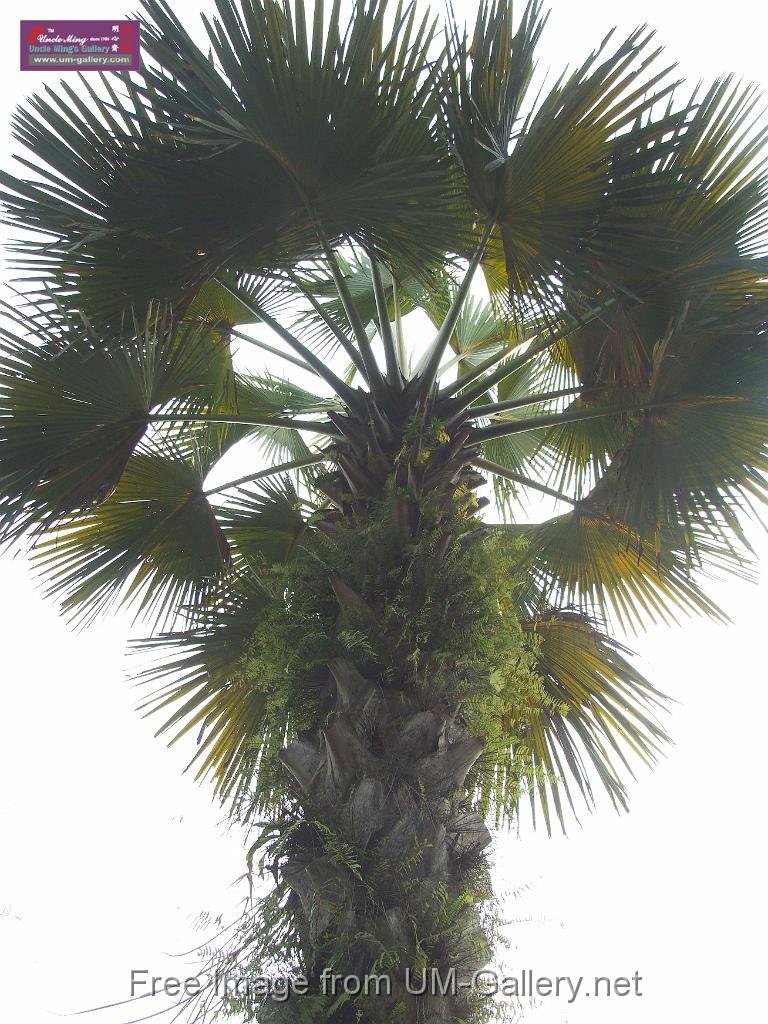 3_DSCF0091.JPG