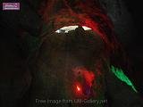1_DSCF0175
