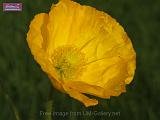 2_DSCF0160