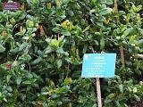 3_DSCF0061