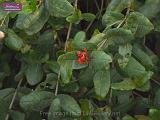 3_DSCF0062