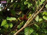3_DSCF0063