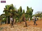 3_DSCF0068
