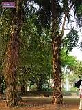 3_DSCF0075
