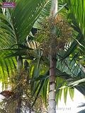 3_DSCF0078