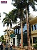 3_DSCF0080