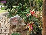 3_DSCF0082