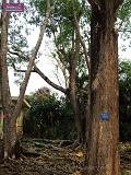 3_DSCF0085