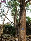 3_DSCF0086