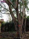 3_DSCF0087
