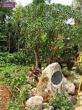 3_DSCF0088