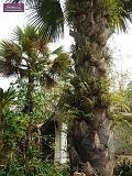 3_DSCF0089