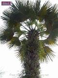 3_DSCF0090