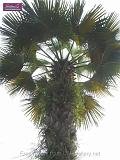 3_DSCF0091