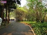 3_DSCF0092