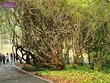 3_DSCF0093