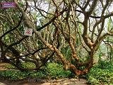 3_DSCF0094