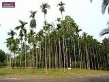 3_DSCF0095