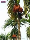 3_DSCF0096