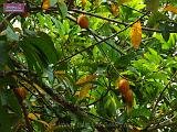 3_DSCF0097