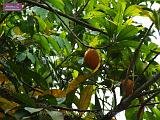 3_DSCF0098