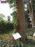 3_DSCF0118