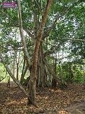 3_DSCF0119