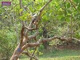 3_DSCF0122