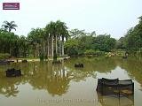 3_DSCF0132