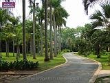 3_DSCF0135