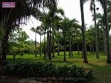 3_DSCF0137