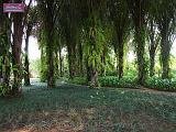 3_DSCF0138