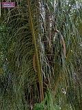 3_DSCF0141
