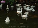 3_DSCF0145