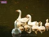 3_DSCF0147